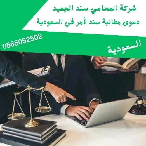 دعوى مطالبة سند لأمر في السعودية1