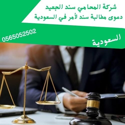 دعوى مطالبة سند لأمر في السعودية